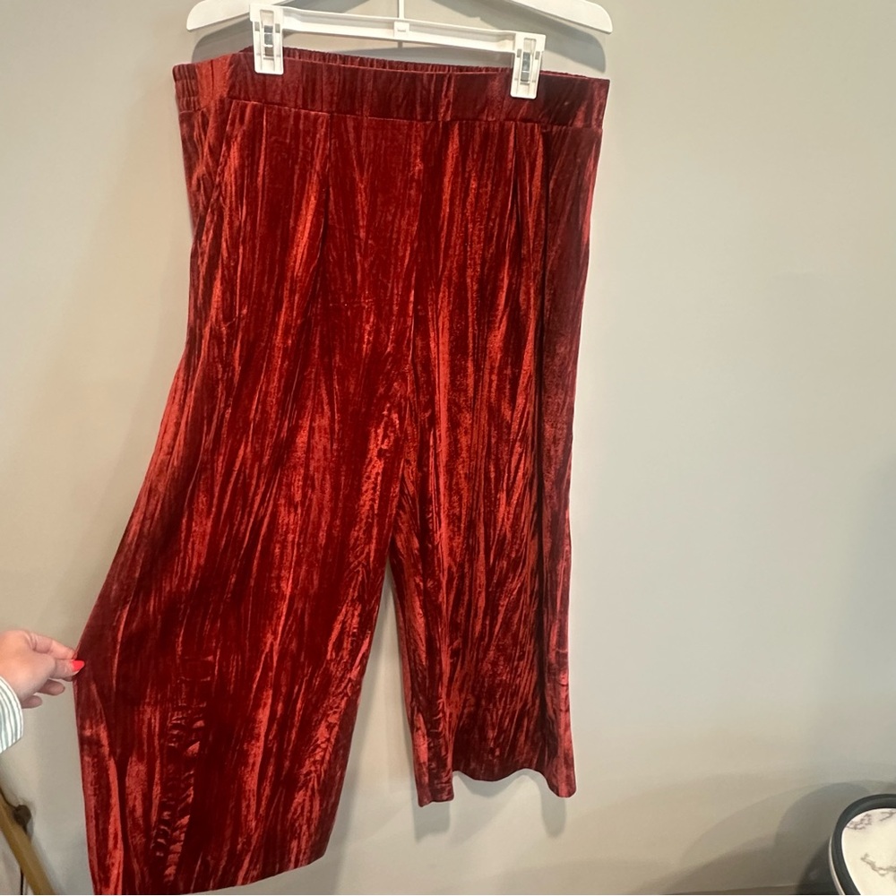 A New Day Women's Velvet Pants in Deep Red